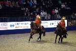 Quadrille - 00059